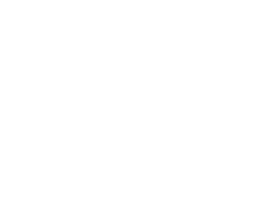 LKS Weber Logo